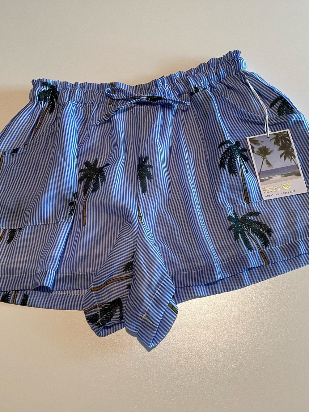 Violet Sky Blue Striped Palm-Print Women’s Shorts, Small